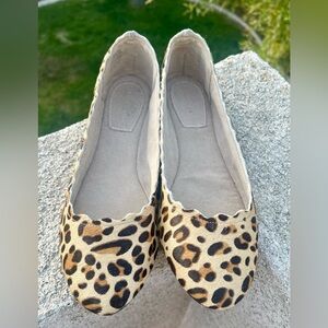 Gently loved Kelly & Katie leopard print ballet flats